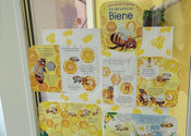 Bienenprojekt der Krippenkinder
